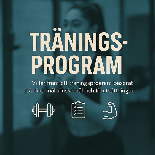 Träningsprogram